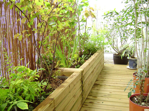 緑溢れるデッキ