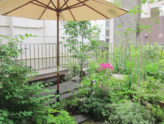 都心のビルの屋上庭園