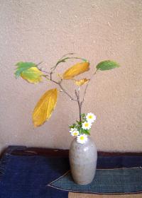 野の花(切り花)お届け便