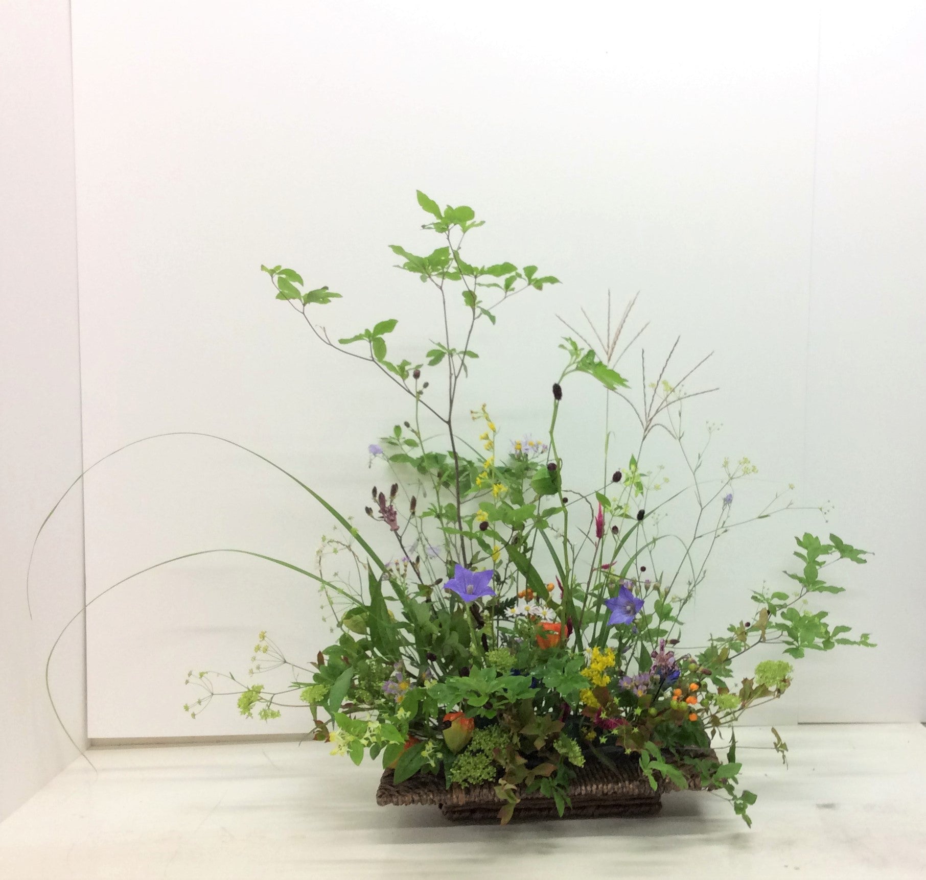 かごのアレンジメント