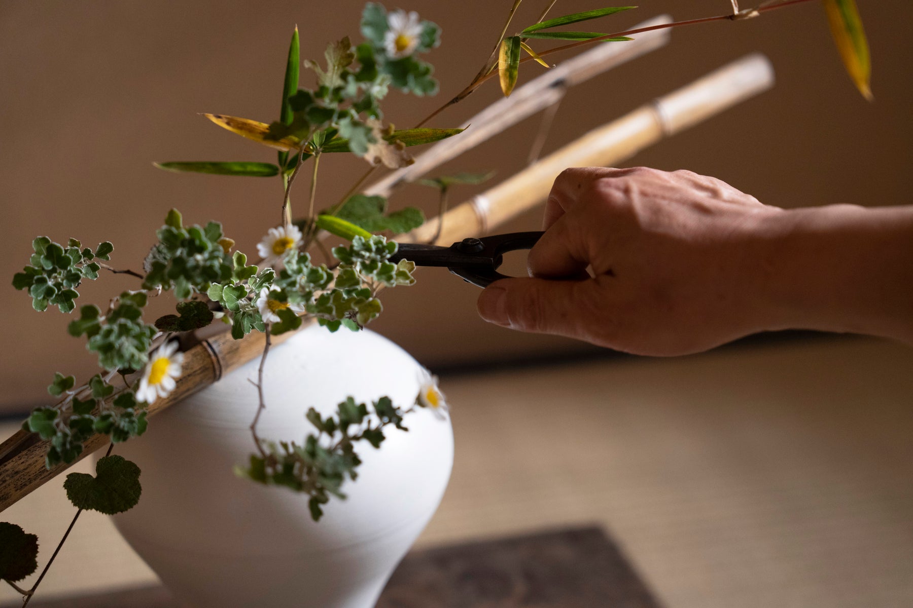 【新規】野の花を生ける