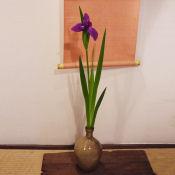 茶花 お届け便 (クール便)