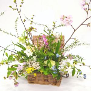 かごのアレンジメント