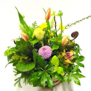 かごのアレンジメント