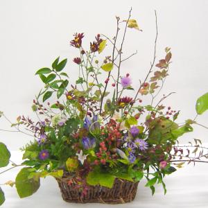 かごのアレンジメント