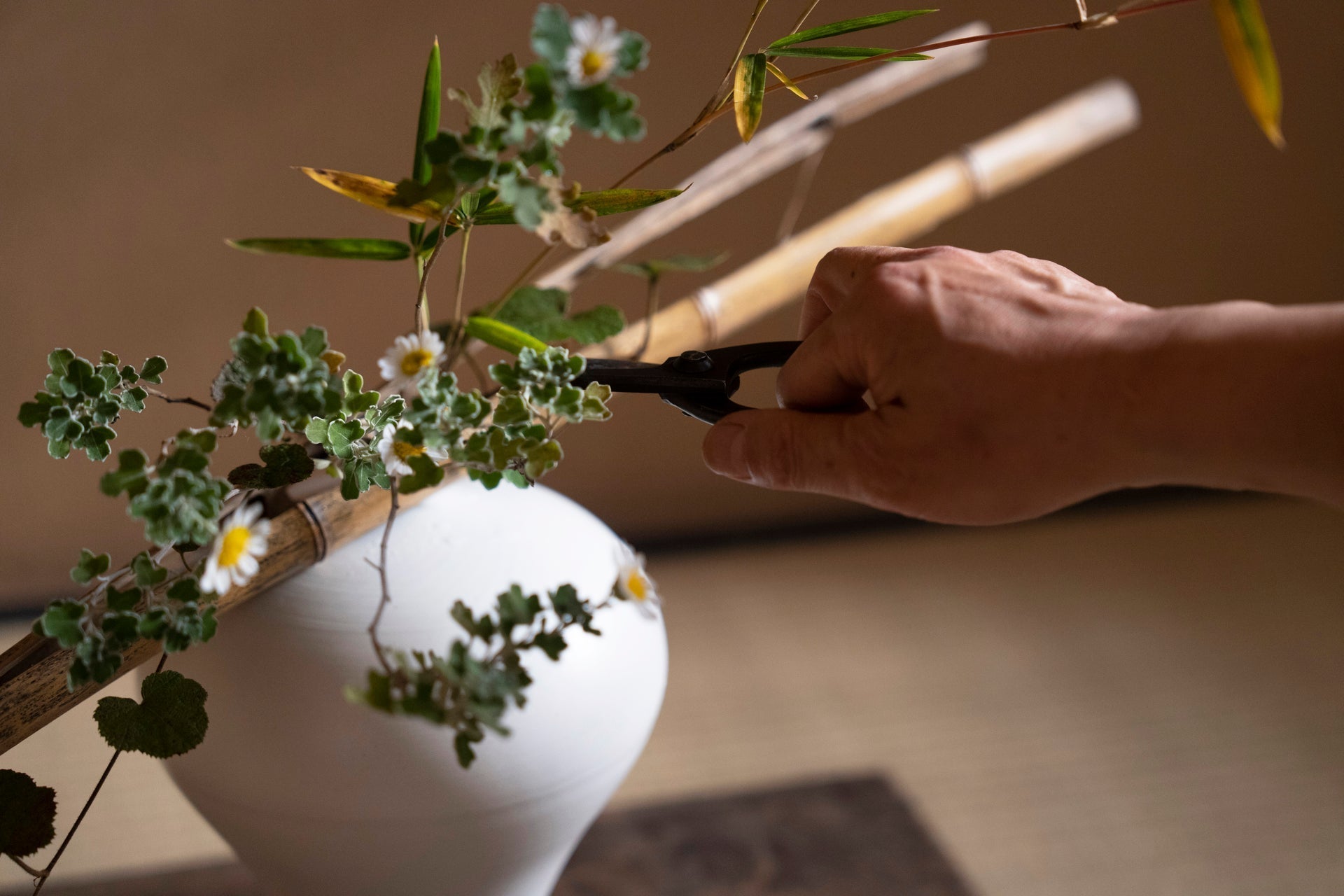 【継続】野の花を生ける｜2025年