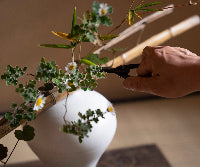 【新規】野の花を生ける｜2025年