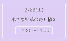 野花の愉しみ